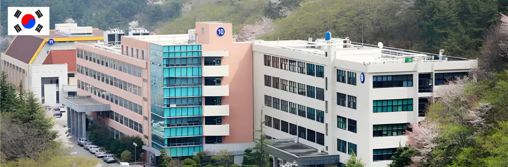 VẬT LÝ TRỊ LIỆU DONG EUI university