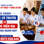 So Sánh Y Học Cổ Truyền Và Y Học Hiện Đại: Nên Học Ngành Nào?