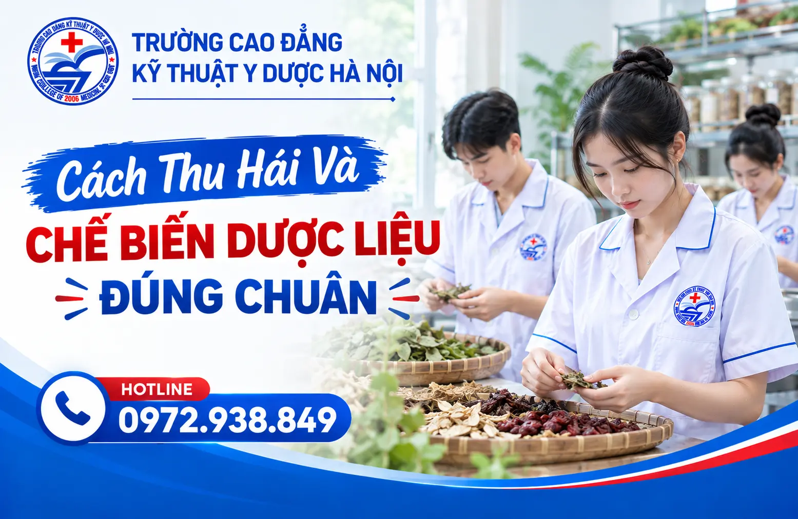 Cách Thu Hái Và Chế Biến Dược Liệu Đúng Chuẩn – Kiến Thức Nền Tảng Cho Người Học Y Dược