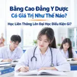 Bằng Cao Đẳng Y Dược Có Giá Trị Như Thế Nào? Học Liên Thông Lên Đại Học Cần Điều Kiện Gì?