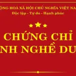 Chứng Chỉ Hành Nghề Dược: Điều Kiện Và Cách Xin Cấp Mới Nhất