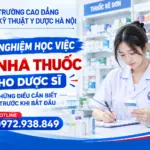 Kinh Nghiệm Học Việc Tại Nhà Thuốc Cho Dược Sĩ – Những Điều Cần Biết Trước Khi Bắt Đầu